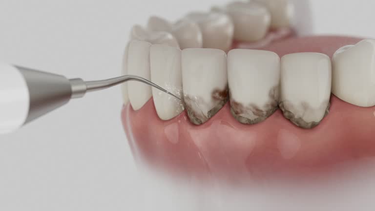Reliable Dental contractor in Franklin, IN by Dentist Open Now